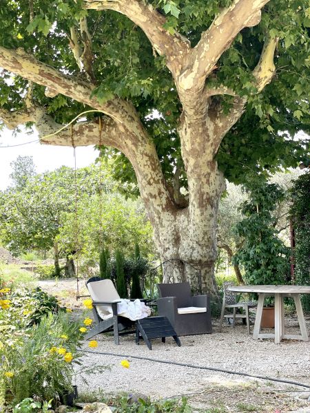 foto 4 Mietobjekt von Privatpersonen Isle sur la Sorgue maison Provence-Alpes-Cte d'Azur  Garten