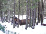 Ferienunterknfte ferien in den bergen Italien: chalet Nr. 74943