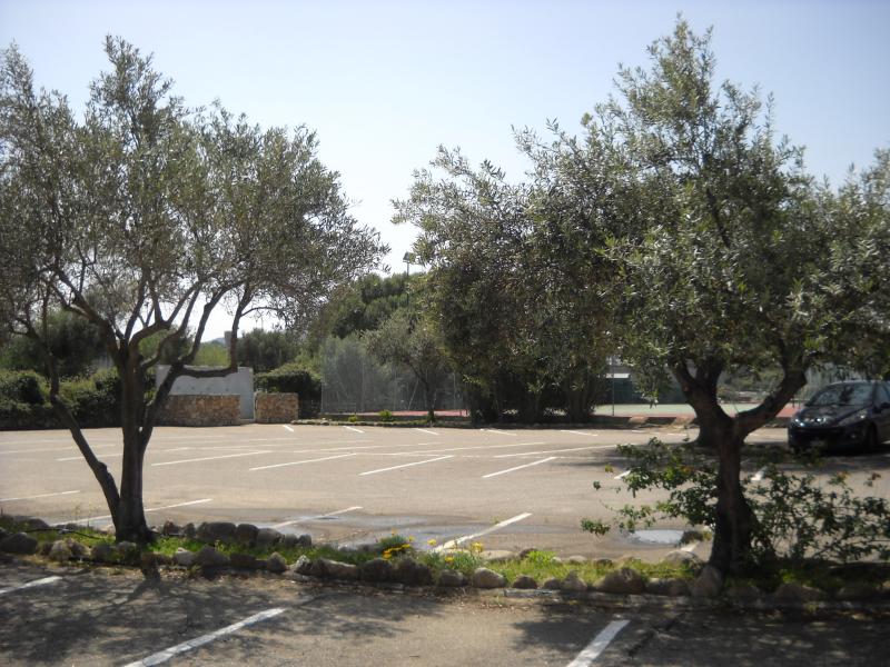 foto 2 Mietobjekt von Privatpersonen San Teodoro appartement Sardinien Olbia Tempio (+ Umland) Parkplatz