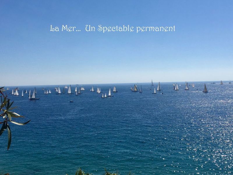foto 4 Mietobjekt von Privatpersonen Cannes appartement Provence-Alpes-Cte d'Azur Alpes-Maritimes Ausblick von der Terrasse