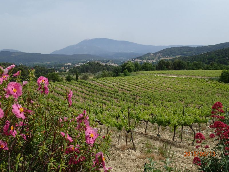 foto 16 Mietobjekt von Privatpersonen Vaison la Romaine gite Provence-Alpes-Cte d'Azur Vaucluse Ausblick aus der Ferienunterkunft