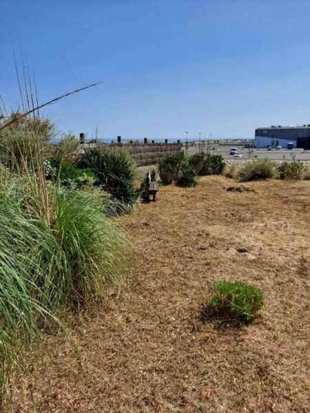 foto 1 Mietobjekt von Privatpersonen La Cotinire villa Poitou-Charentes Charente-Maritime Ausblick aus der Ferienunterkunft