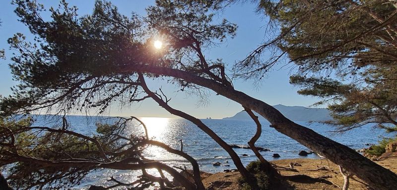 foto 16 Mietobjekt von Privatpersonen Saint Mandrier sur Mer studio Provence-Alpes-Cte d'Azur Var