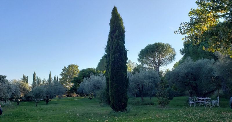 foto 2 Mietobjekt von Privatpersonen Uzs maison Languedoc-Roussillon Gard Garten