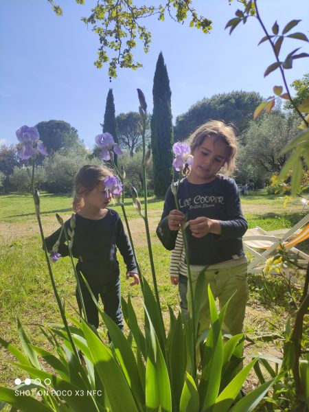 foto 5 Mietobjekt von Privatpersonen Uzs maison Languedoc-Roussillon Gard Garten