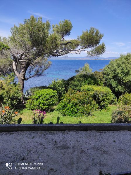 foto 15 Mietobjekt von Privatpersonen Hyres appartement Provence-Alpes-Cte d'Azur Var Garten