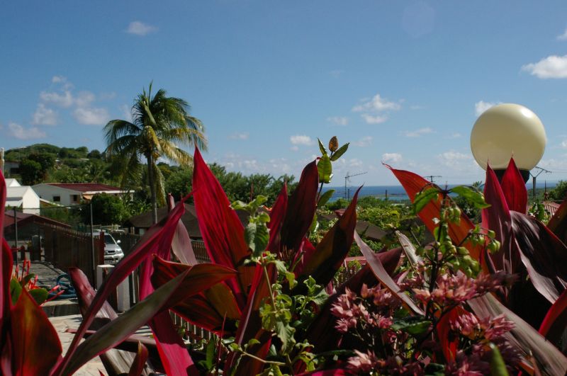 foto 23 Mietobjekt von Privatpersonen Sainte Anne (Martinique) villa   Ausblick von der Terrasse
