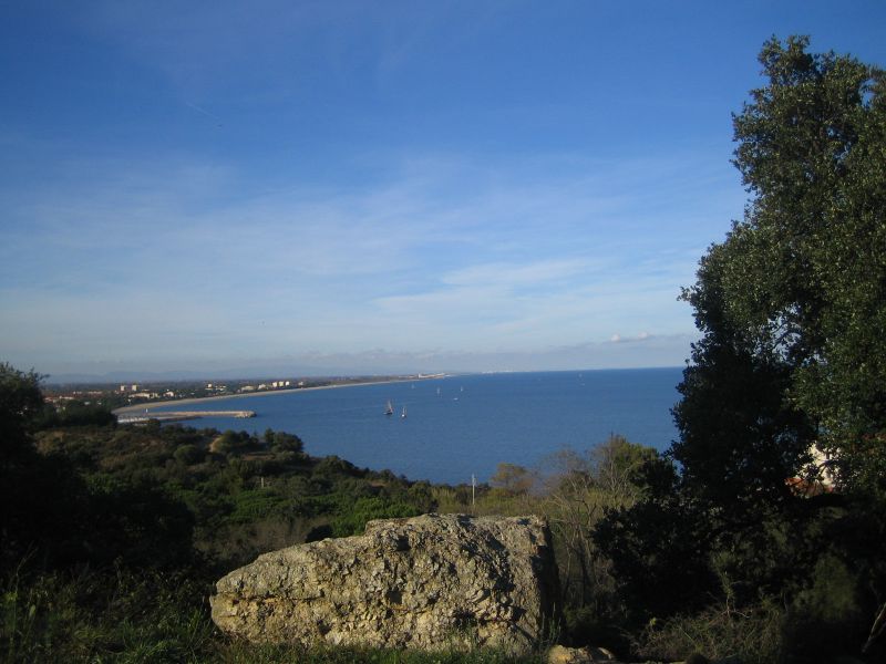 foto 1 Mietobjekt von Privatpersonen Argeles sur Mer maison Languedoc-Roussillon Pyrenen (Mittelmeer) Ausblick aus der Ferienunterkunft