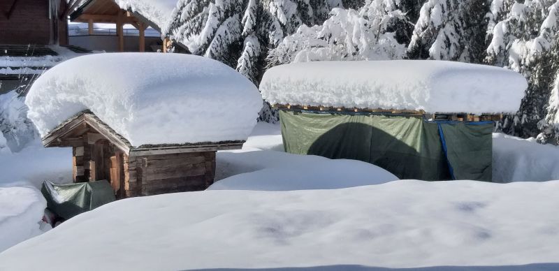 foto 25 Mietobjekt von Privatpersonen Le Grand Bornand appartement Rhne-Alpes Haute-Savoie Garten