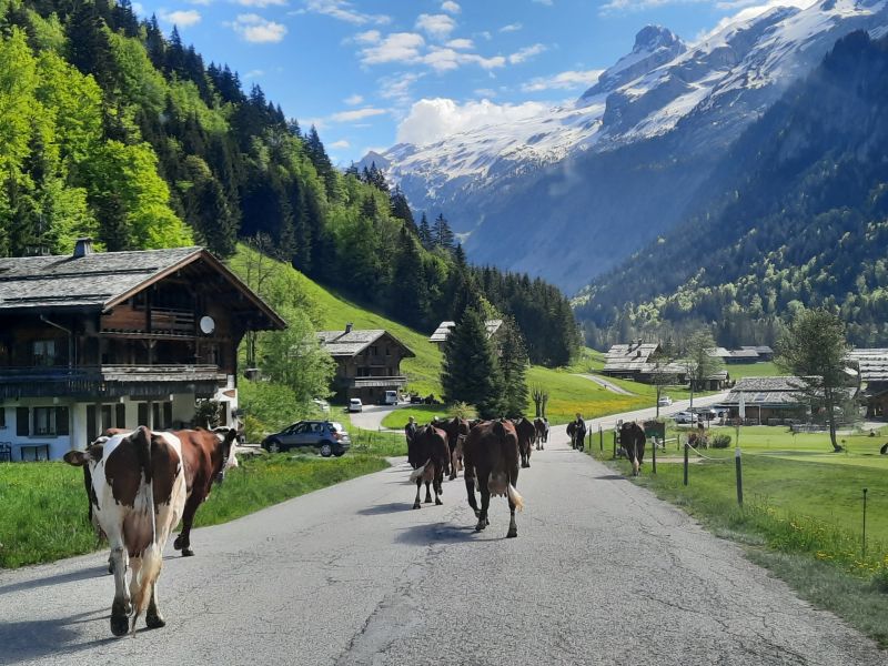 foto 5 Mietobjekt von Privatpersonen Le Grand Bornand appartement Rhne-Alpes Haute-Savoie Ansicht des Objektes