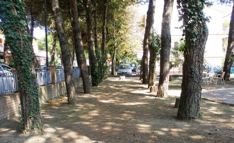 foto 14 Mietobjekt von Privatpersonen Cervia appartement Emilia-Romagna Ravenna (+Umland) Garten