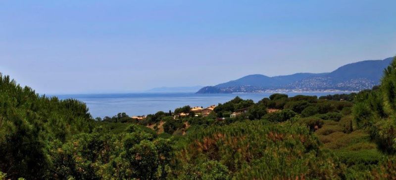 foto 25 Mietobjekt von Privatpersonen La Croix Valmer villa Provence-Alpes-Cte d'Azur Var Ausblick aus der Ferienunterkunft