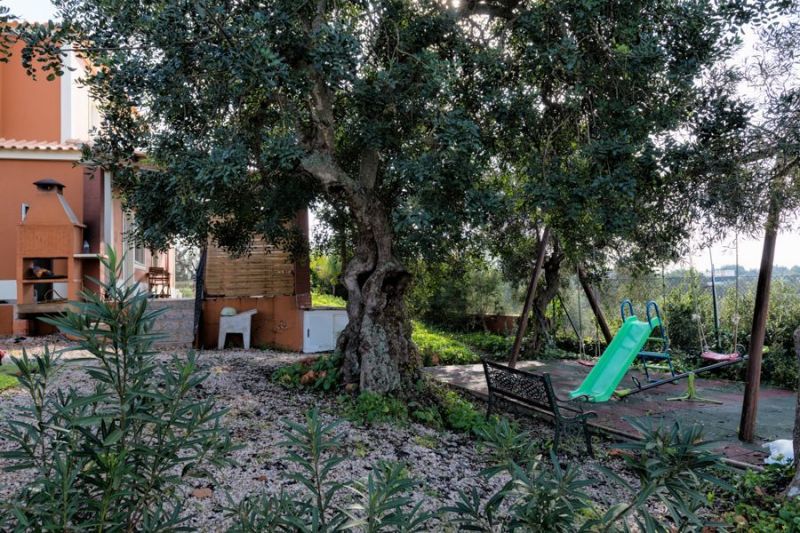 foto 1 Mietobjekt von Privatpersonen Armao de Pera villa Algarve  Garten