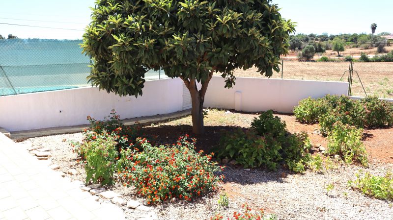 foto 28 Mietobjekt von Privatpersonen Armao de Pera villa Algarve