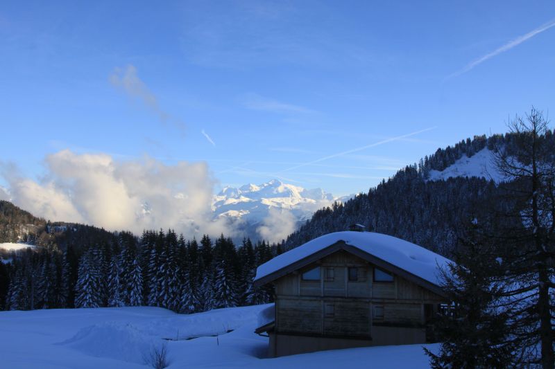 foto 12 Mietobjekt von Privatpersonen Praz de Lys Sommand appartement Rhne-Alpes Haute-Savoie Ausblick vom Balkon