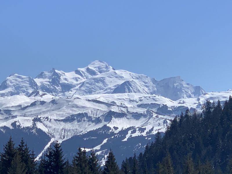 foto 15 Mietobjekt von Privatpersonen Praz de Lys Sommand appartement Rhne-Alpes Haute-Savoie Ausblick von der Terrasse