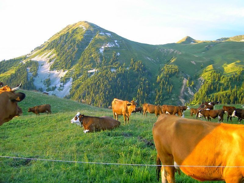 foto 21 Mietobjekt von Privatpersonen La Plagne studio Rhne-Alpes Savoyen Ansicht des Objektes