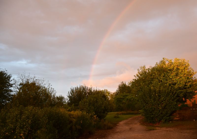 foto 14 Mietobjekt von Privatpersonen Bergerac gite Aquitanien Dordogne Garten