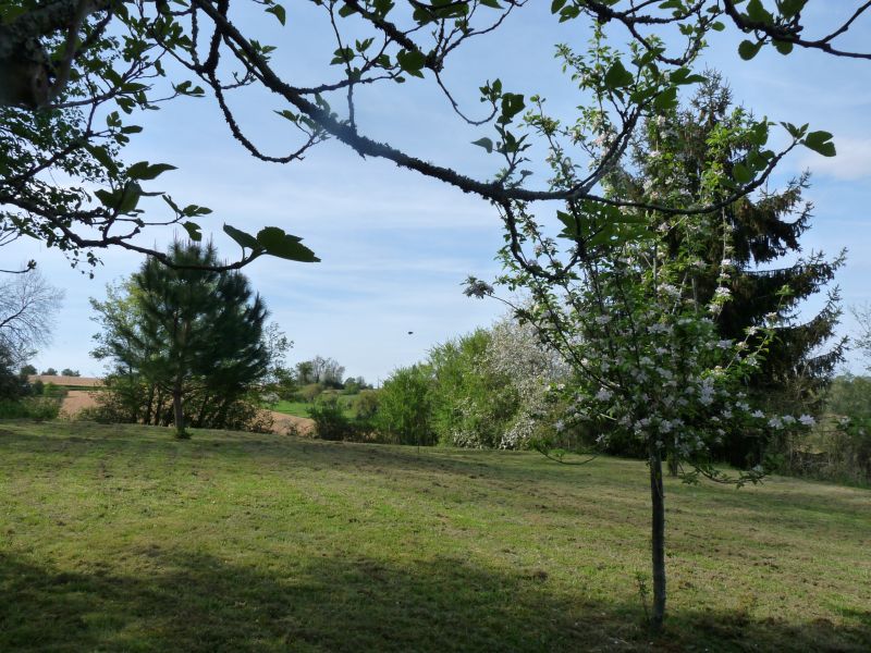 foto 0 Mietobjekt von Privatpersonen Arzacq-Arraziguet maison Aquitanien Pyrenen (Atlantik) Garten