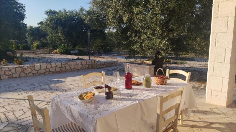 foto 8 Mietobjekt von Privatpersonen Locorotondo villa Apulien Bari (+Umland) Garten