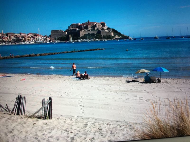 foto 21 Mietobjekt von Privatpersonen Calvi appartement Korsika Haute-Corse Strand