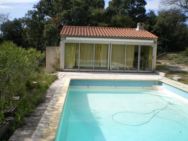 foto 5 Mietobjekt von Privatpersonen Six Fours Les Plages villa Provence-Alpes-Cte d'Azur Var Schwimmbad