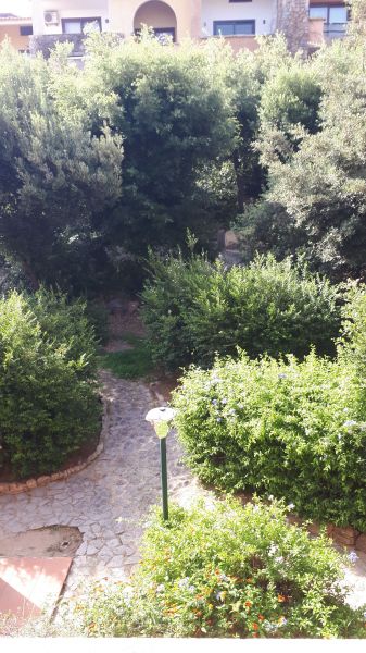 foto 3 Mietobjekt von Privatpersonen Porto Rotondo appartement Sardinien Olbia Tempio (+ Umland) Garten