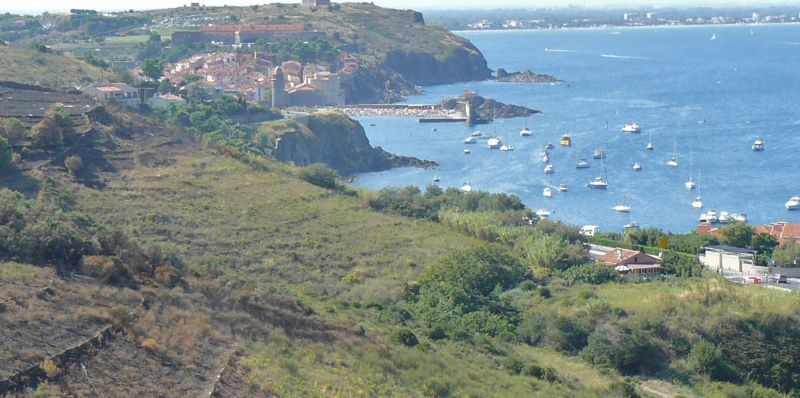 foto 17 Mietobjekt von Privatpersonen Collioure appartement Languedoc-Roussillon Pyrenen (Mittelmeer) Ansicht des Objektes