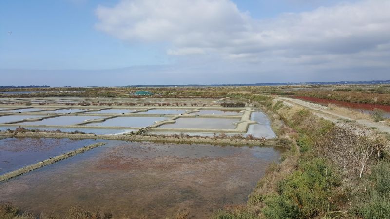 foto 6 Mietobjekt von Privatpersonen La Baule studio Pays de la Loire Loire-Atlantique Nahaufnahme