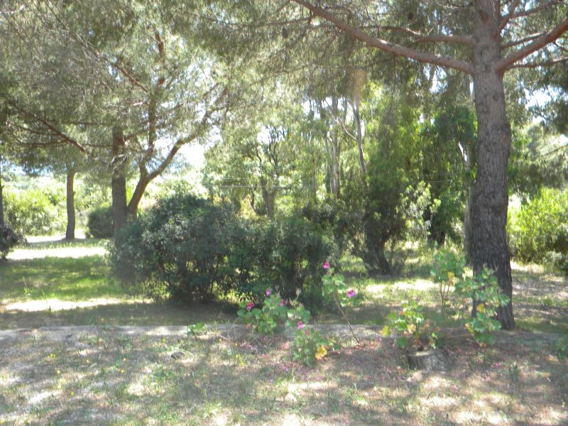 foto 19 Mietobjekt von Privatpersonen Campo nell'Elba appartement Toskana Elba Garten