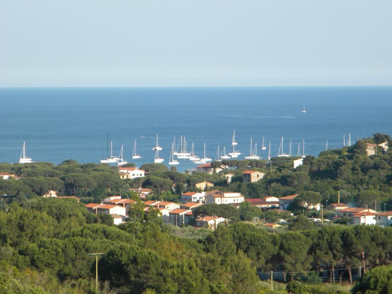 foto 2 Mietobjekt von Privatpersonen Campo nell'Elba appartement Toskana Elba Ausblick aus der Ferienunterkunft