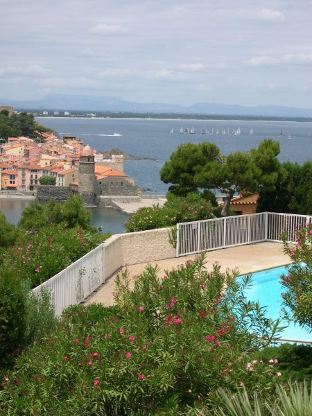 foto 1 Mietobjekt von Privatpersonen Collioure appartement Languedoc-Roussillon Pyrenen (Mittelmeer) Ausblick aus der Ferienunterkunft