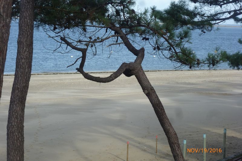 foto 16 Mietobjekt von Privatpersonen Arcachon studio Aquitanien Gironde Strand