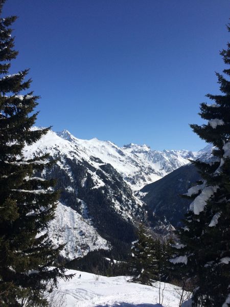 foto 12 Mietobjekt von Privatpersonen La Plagne studio Rhne-Alpes Savoyen Nahaufnahme