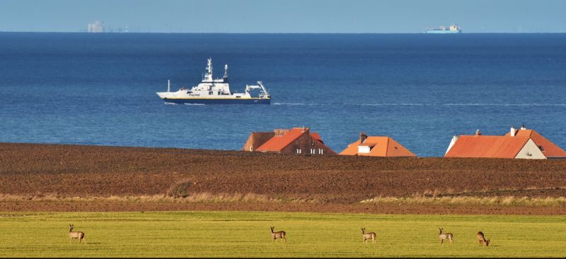 foto 20 Mietobjekt von Privatpersonen Wissant gite Nord-Pas de Calais Pas de Calais