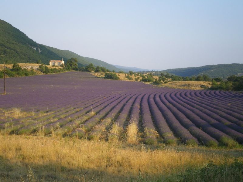 foto 9 Mietobjekt von Privatpersonen Forcalquier gite Provence-Alpes-Cte d'Azur Alpes de Haute-Provence