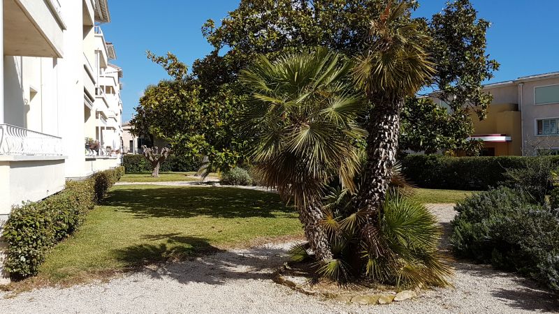 foto 5 Mietobjekt von Privatpersonen La Ciotat appartement Provence-Alpes-Cte d'Azur Bouches du Rhne Garten