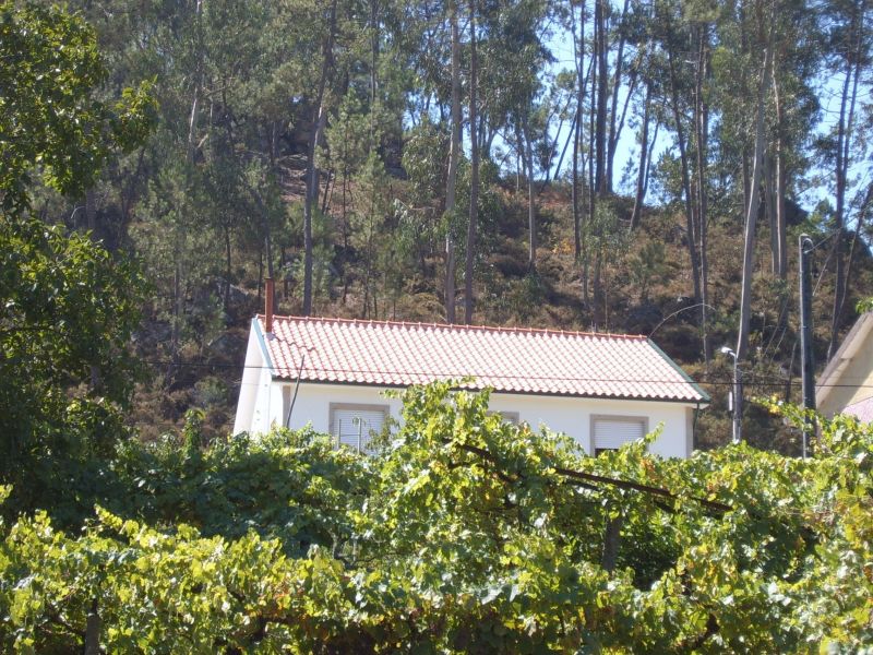 foto 1 Mietobjekt von Privatpersonen Celorico de Basto maison Entre Douro e Minho  Ansicht des Objektes