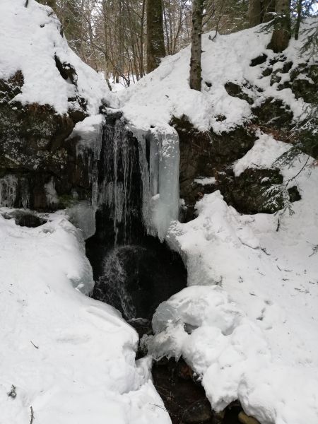 foto 18 Mietobjekt von Privatpersonen Le Lioran studio Auvergne Cantal Nahaufnahme