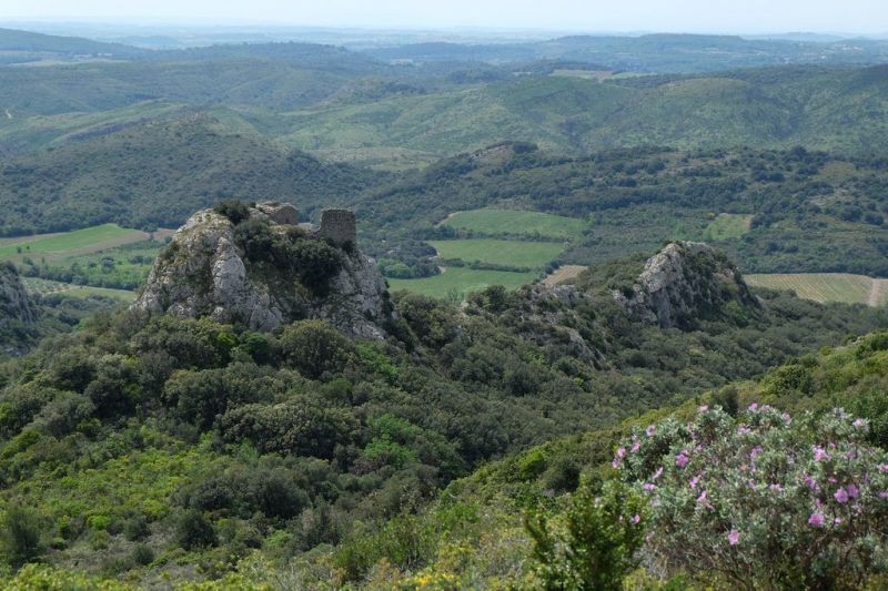 foto 23 Mietobjekt von Privatpersonen Pzenas villa Languedoc-Roussillon Hrault Nahaufnahme