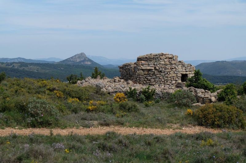 foto 24 Mietobjekt von Privatpersonen Pzenas villa Languedoc-Roussillon Hrault Nahaufnahme