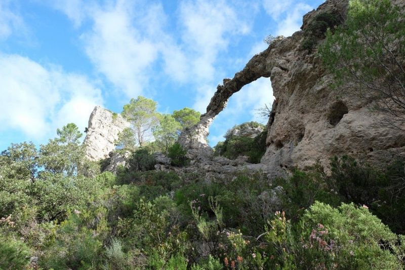 foto 26 Mietobjekt von Privatpersonen Pzenas villa Languedoc-Roussillon Hrault Nahaufnahme