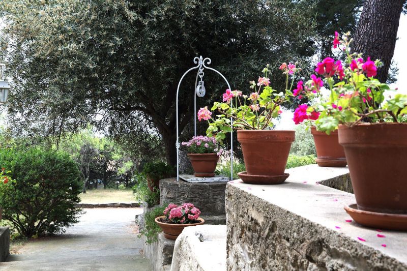 foto 14 Mietobjekt von Privatpersonen La Ciotat maison Provence-Alpes-Cte d'Azur Bouches du Rhne Garten