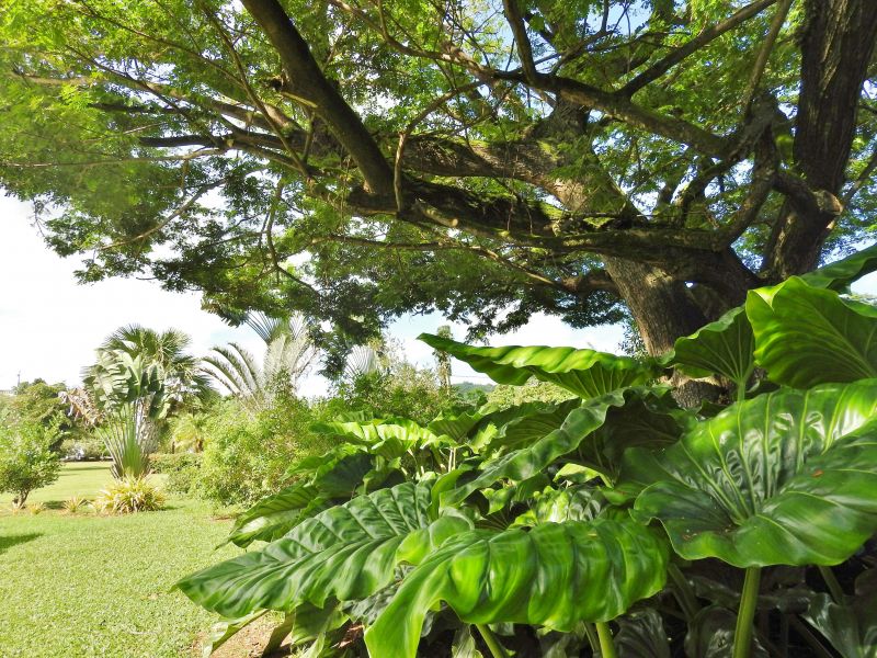 foto 4 Mietobjekt von Privatpersonen Le Franois bungalow   Garten