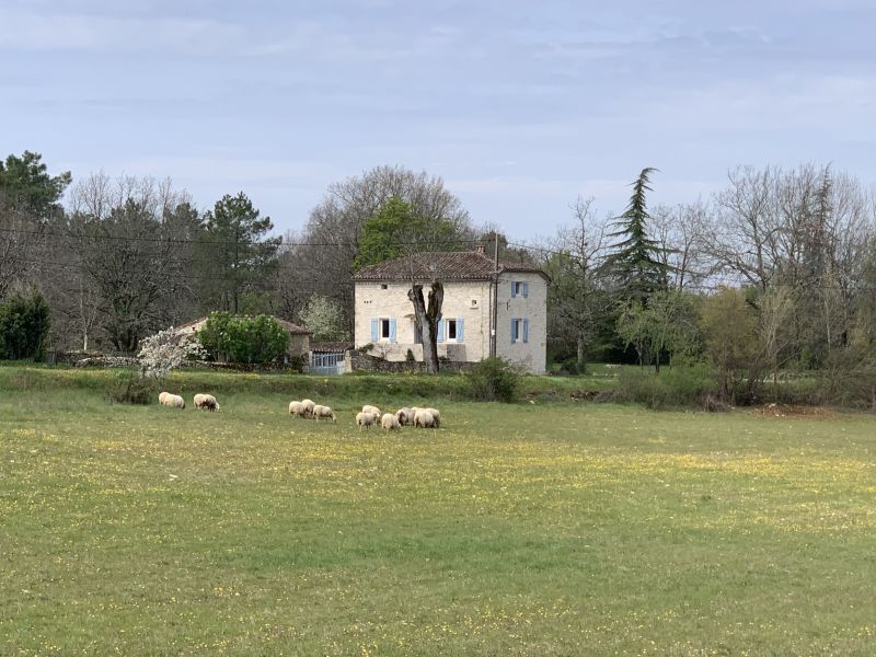 foto 1 Mietobjekt von Privatpersonen Cahors maison Pyrenen Lot