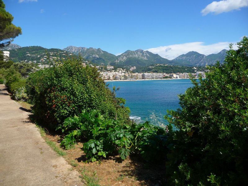 foto 23 Mietobjekt von Privatpersonen Roquebrune Cap Martin appartement Provence-Alpes-Cte d'Azur Alpes-Maritimes Nahaufnahme