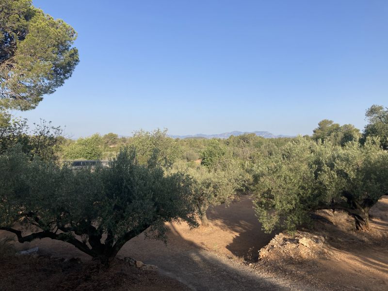 foto 10 Mietobjekt von Privatpersonen L'Ampolla maison Katalonien Provinz Tarragona Ausblick aus der Ferienunterkunft