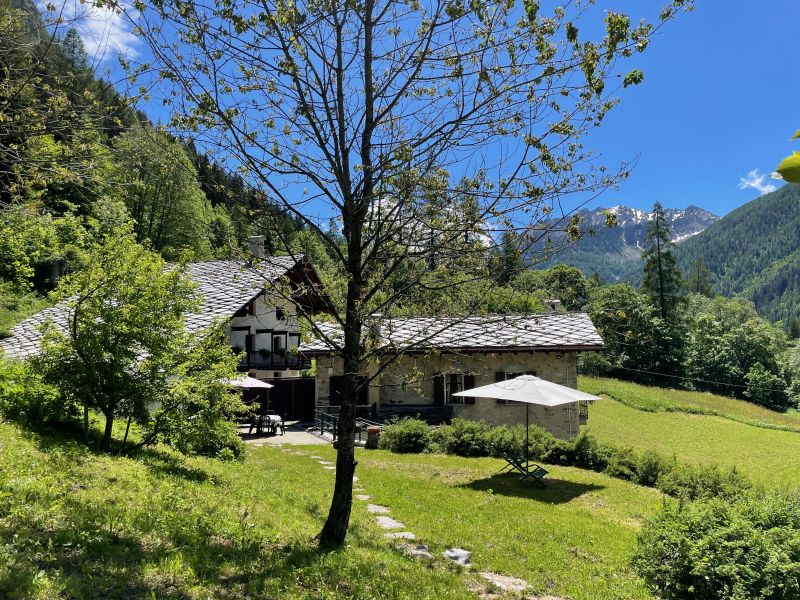 foto 0 Mietobjekt von Privatpersonen Gressoney Saint Jean appartement Aostatal Aosta (+Umland) Garten