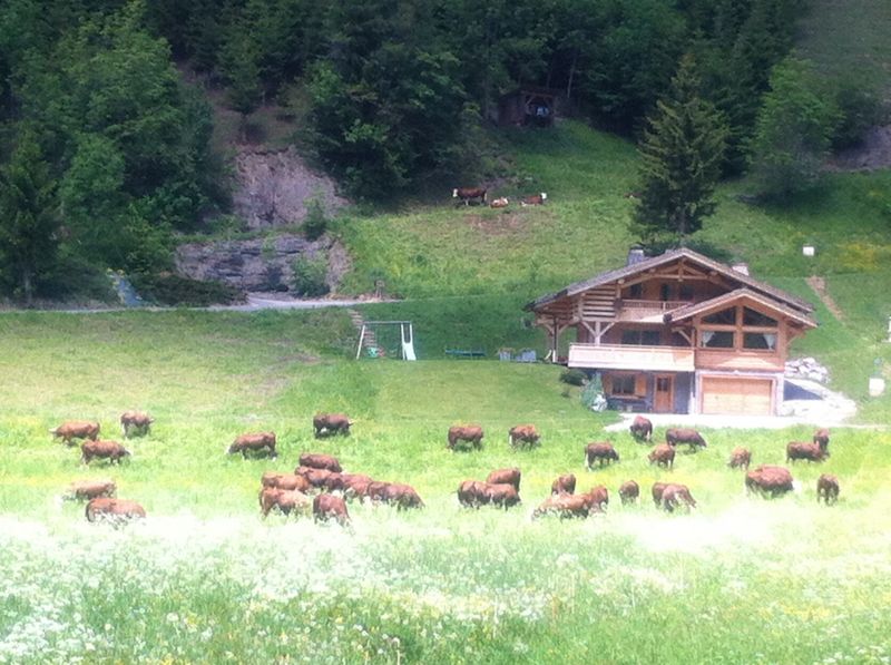 foto 13 Mietobjekt von Privatpersonen Le Grand Bornand chalet Rhne-Alpes Haute-Savoie Ausblick aus der Ferienunterkunft