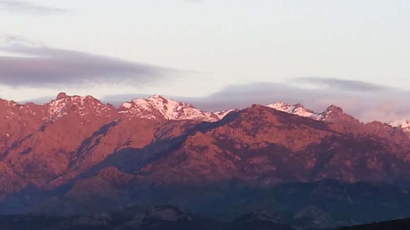 foto 15 Mietobjekt von Privatpersonen Calvi appartement Korsika Haute-Corse Ausblick von der Terrasse